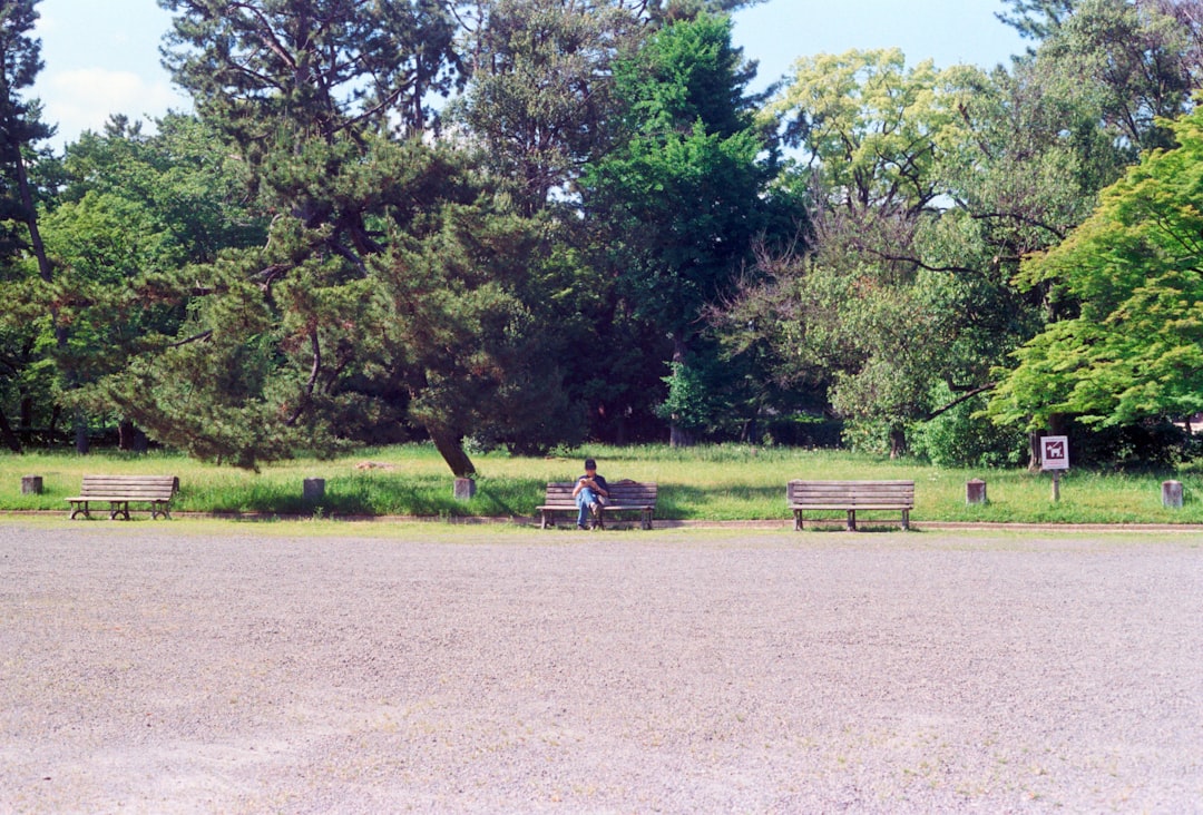 Outdoor archery range and field in a green park setting like the Austin Archery Club