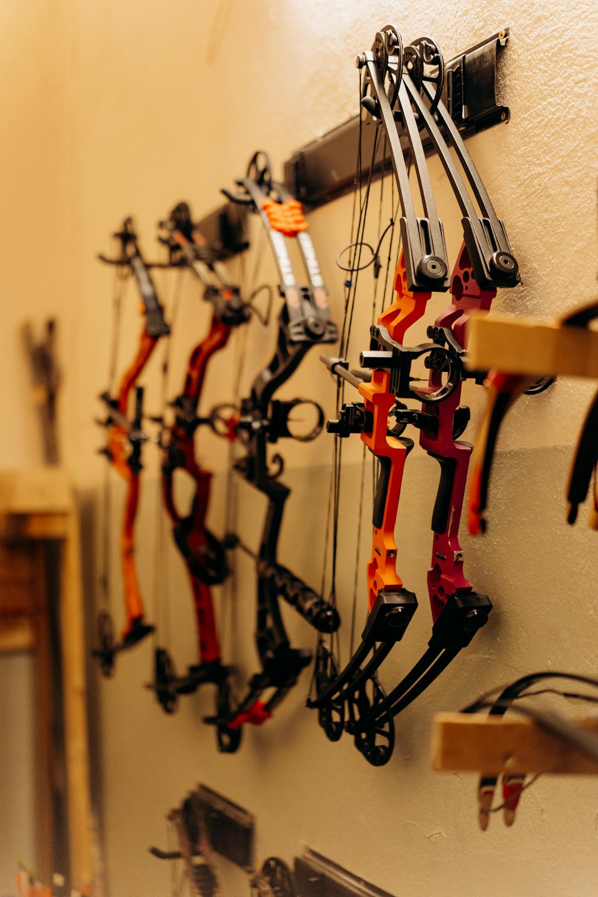 Compound bows on a wall rack at an archery pro shop for tuning selection