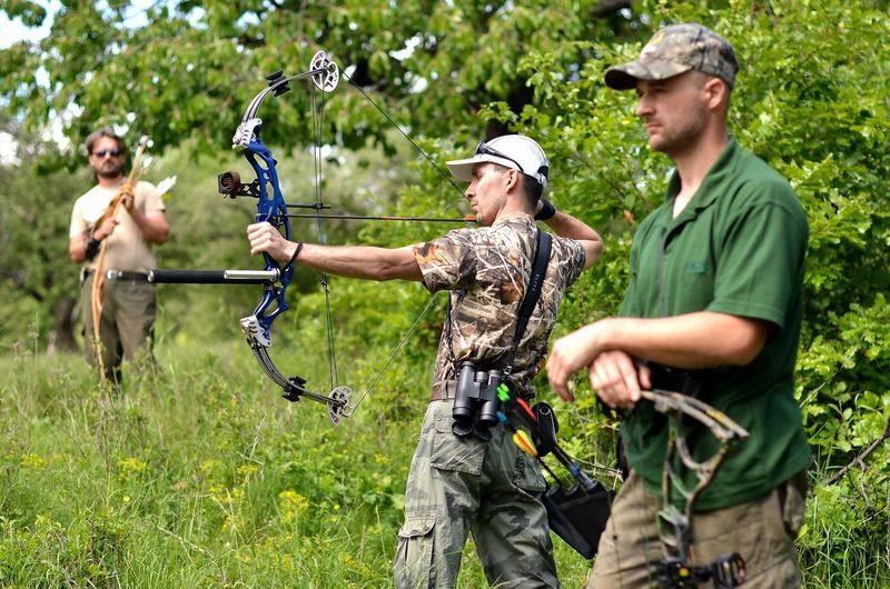 Group of archers shooting together at a 3D archery shoot in a grassy field