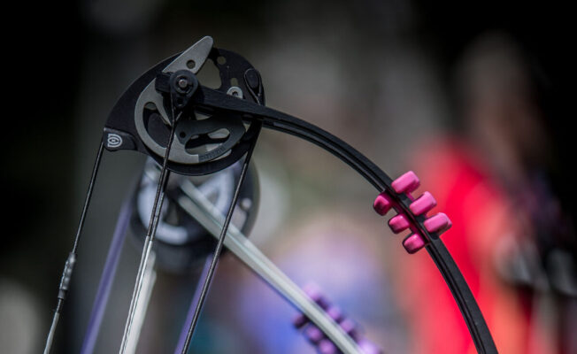 Compound bow cam types guide - single cam, dual cam, binary and hybrid systems