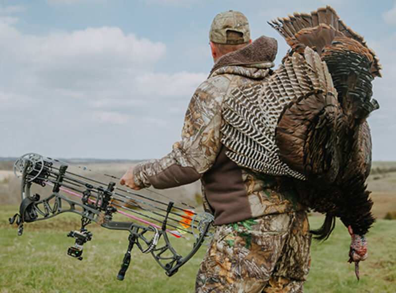 compound bow release aid article image showing Bear Archery compound bow content