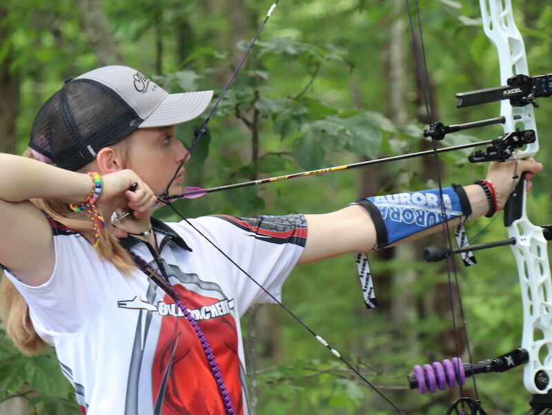 Compound bow with arrows showing cam system and limb design