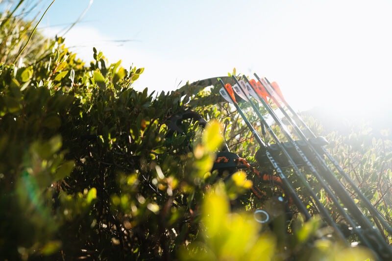 Bowhunter in the field with hunting arrows and archery equipment