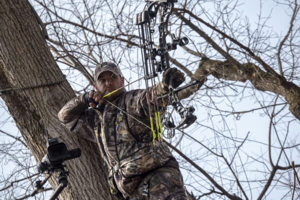 Compound bowhunter at full draw showing anchor point from a treestand