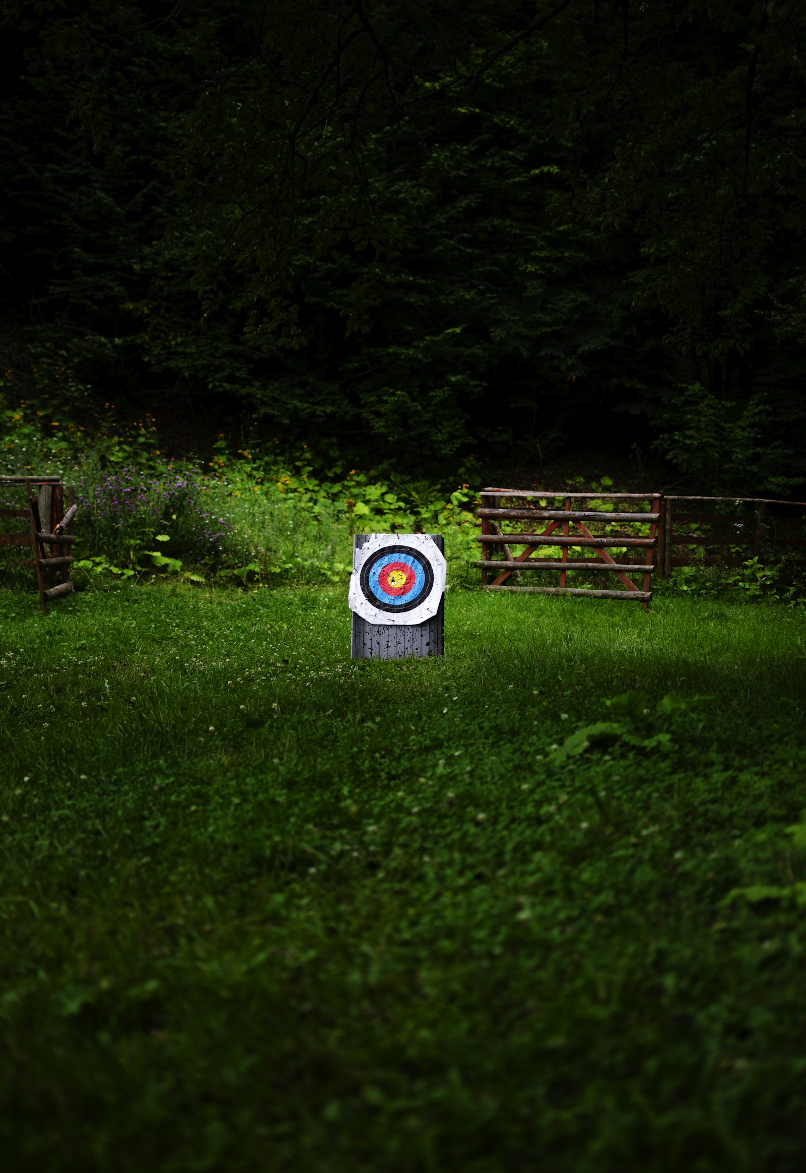Outdoor archery target on grass during Malaysia barebow team world record event