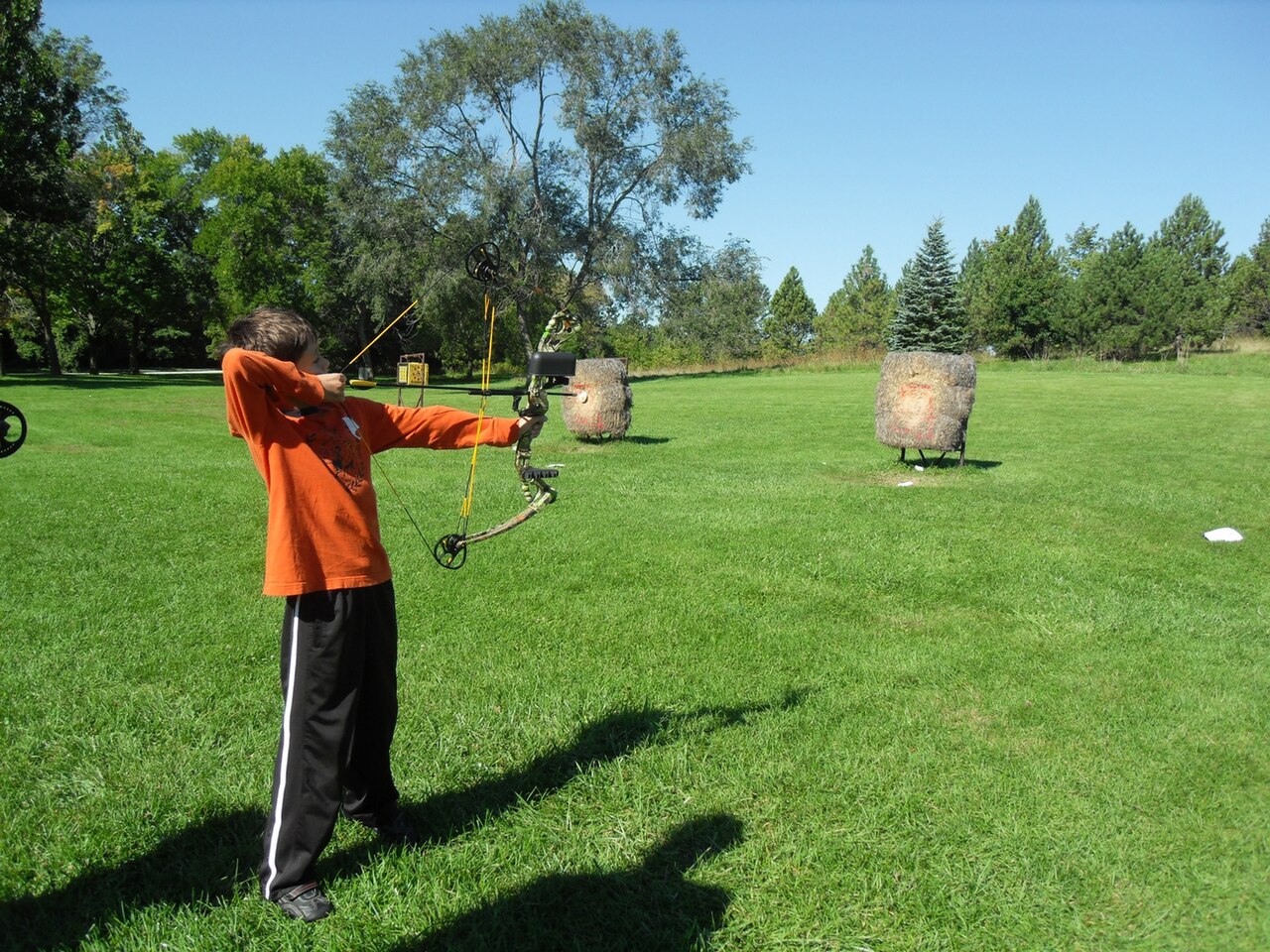 compound bow target