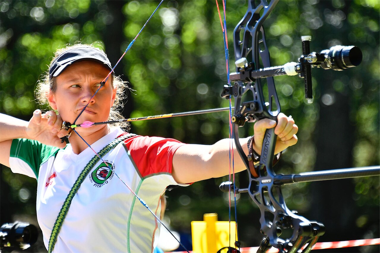 compound bow held vertically with quiver arrows mounted