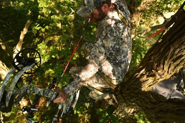 Bowhunter at full draw with compound bow in treestand using fixed vs mechanical broadheads setup