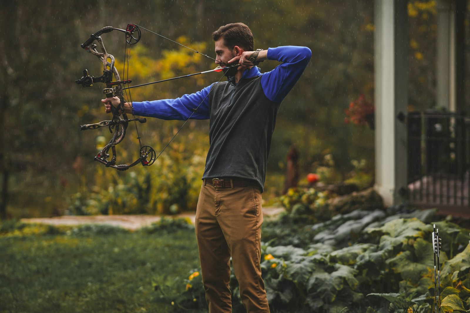 Spring turkey bowhunter aiming compound bow in open field during May hunting season