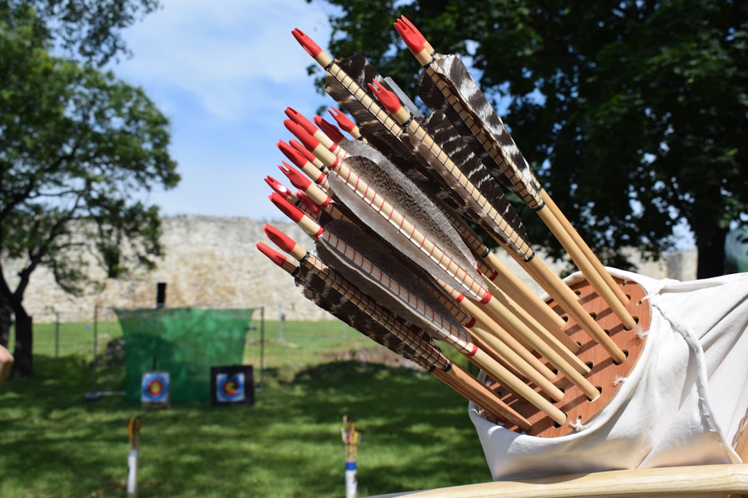 Quiver of wooden arrows at an outdoor archery range with targets in background
