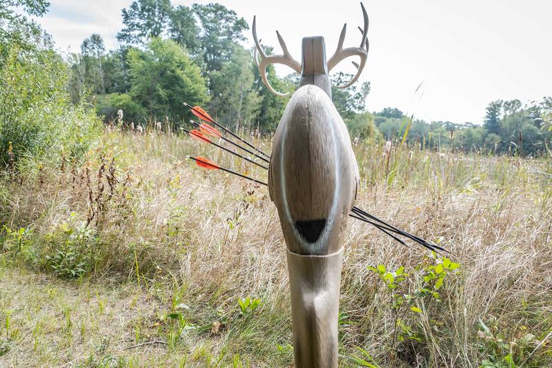 3D deer target used to practice treestand bow shooting at steep angles