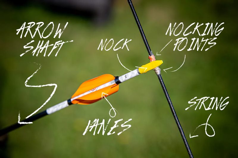 Arrow nock, shaft and vanes anatomy that affects arrow spine and flex