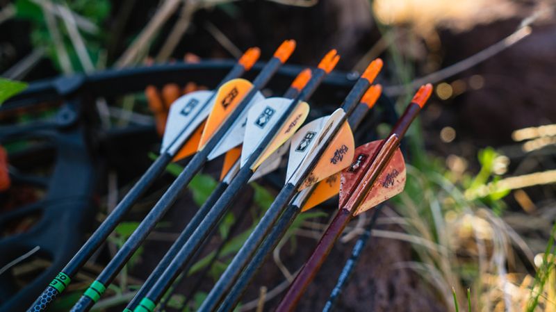arrows with fixed-blade broadheads loaded in bow quiver after hunt