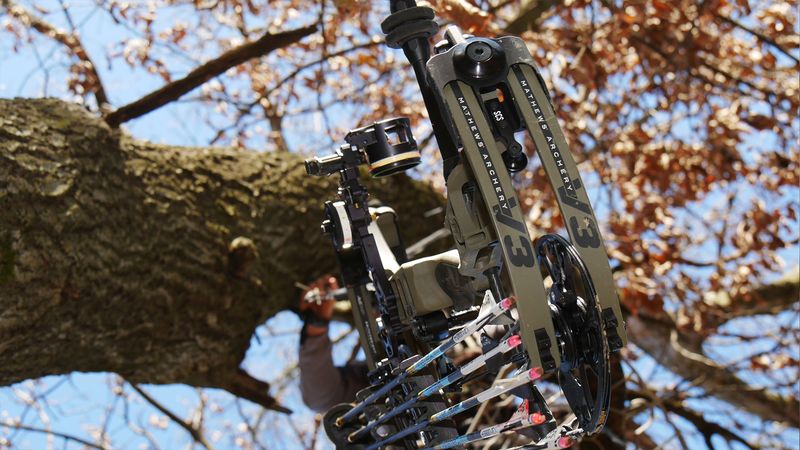 Compound bow hanging in a tree stand, the kind of bow most at risk from a dry fire