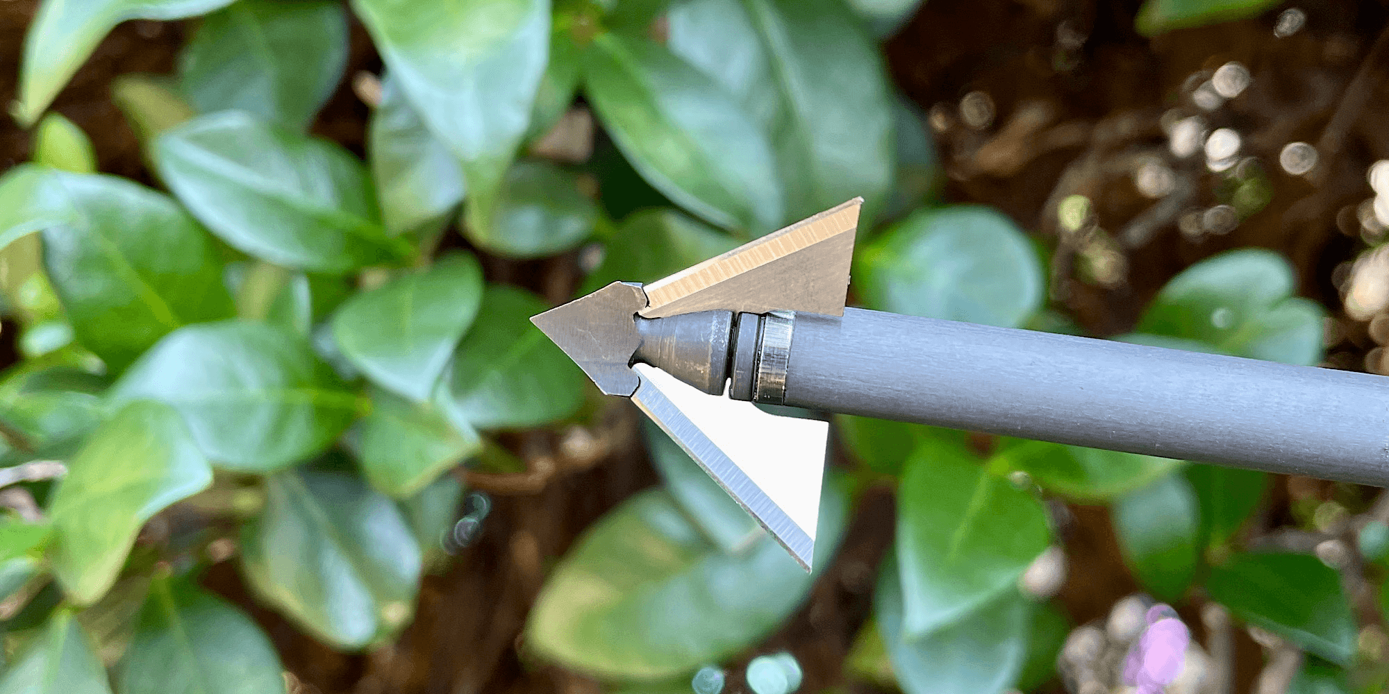 best fixed blade broadheads