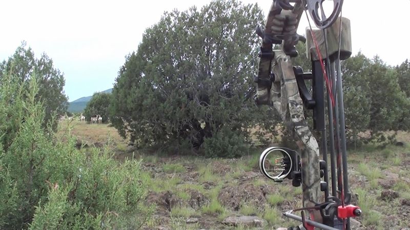 Bowhunter at full draw view during spot and stalk on antelope herd