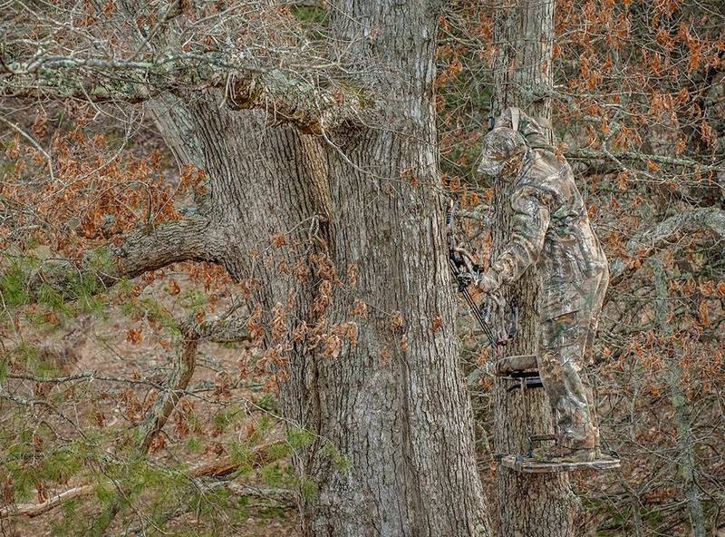 Camouflaged bowhunter waiting in a treestand