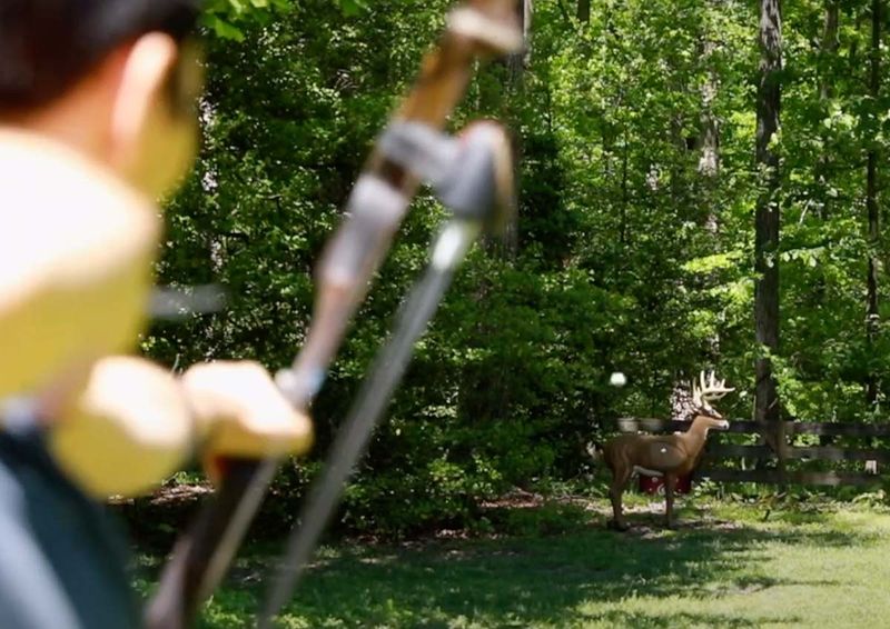 Bowhunter at full draw aiming a compound bow at a 3D deer target at effective range