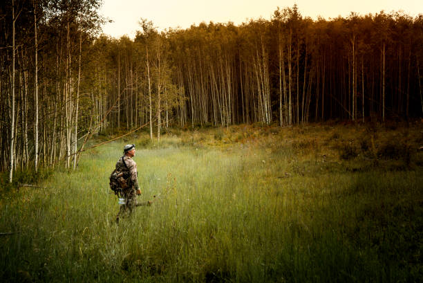 hunter with bow and arrow walking in forest - bow hunting stock pictures, royalty-free photos & images