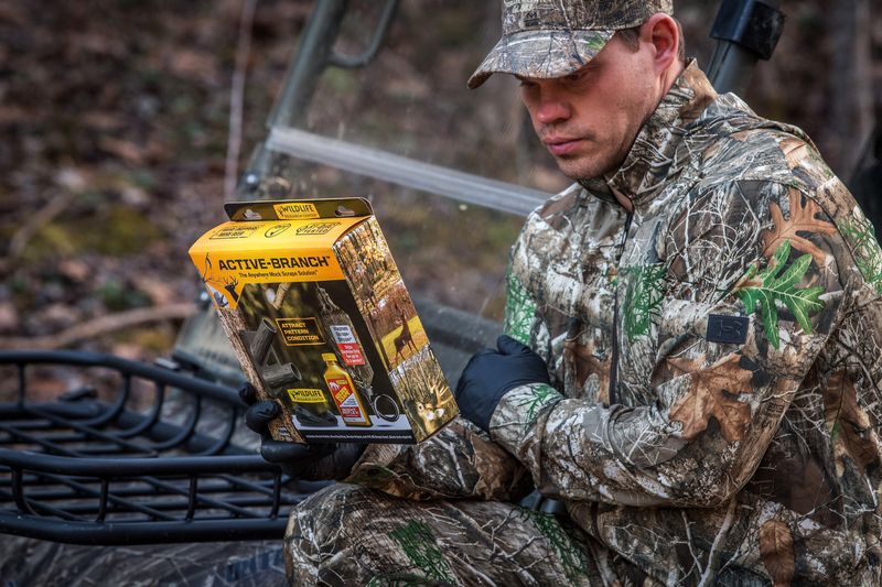 Buck scent-marking a scrape line during pre-rut