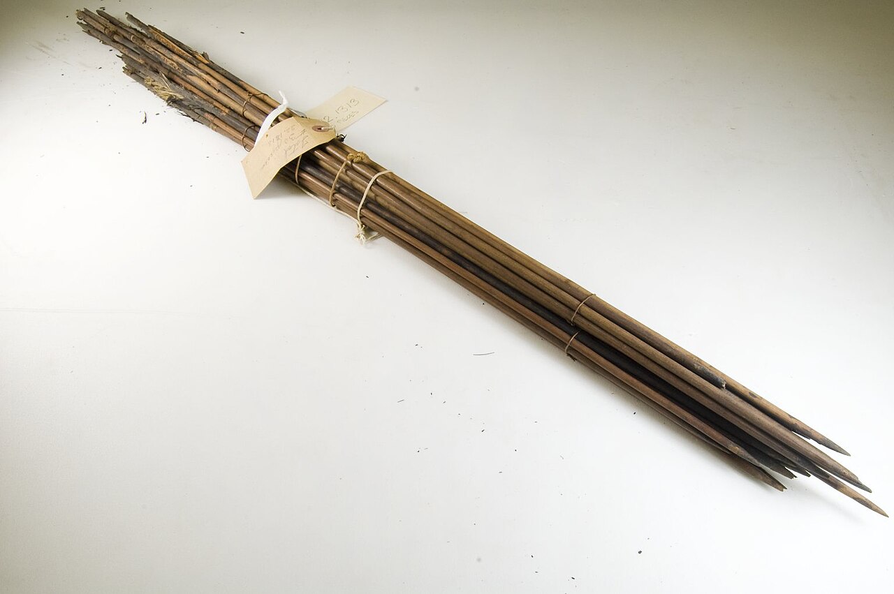 arrow shafts bundle