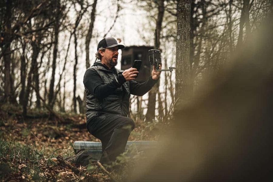 Cellular trail camera placement checked from phone in the woods