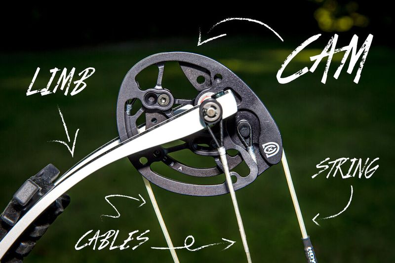 Compound bow cam system showing let-off mechanism that reduces holding draw weight