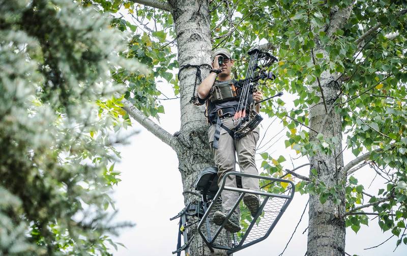 Compound bow shot from an elevated treestand position