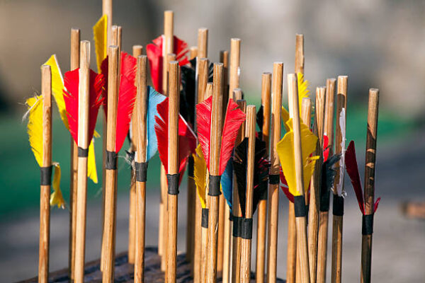 Colorful bow arrows closeup sticking in wood Colored arrows waiting to get shot at the target bow arrow target closeup stock