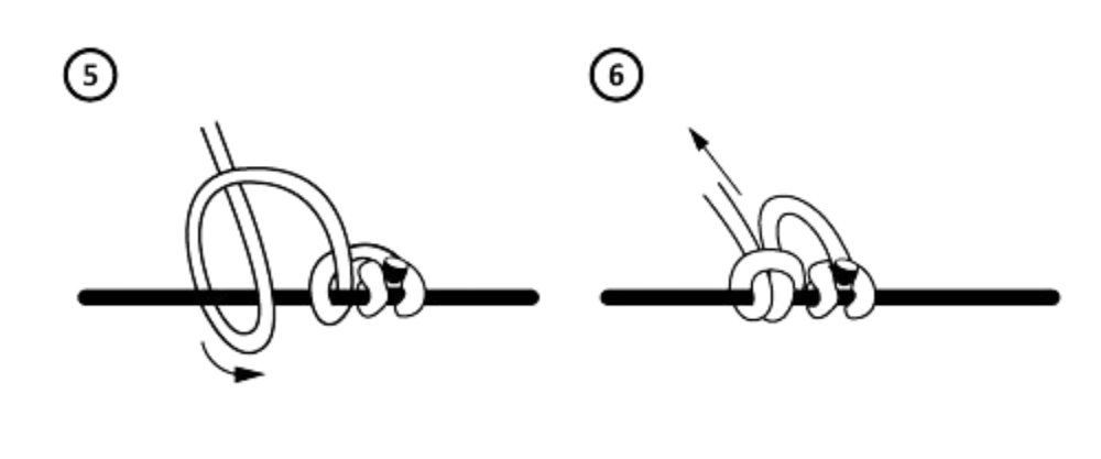 D-loop tying diagram showing steps one and two of the cinch knot
