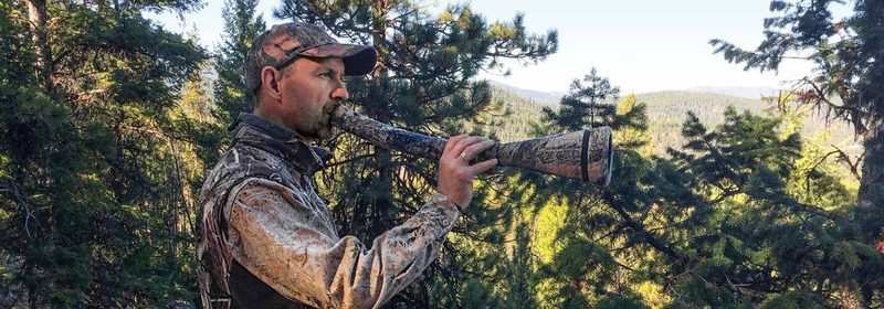 Bowhunter bugling from a hillside during an archery elk hunt