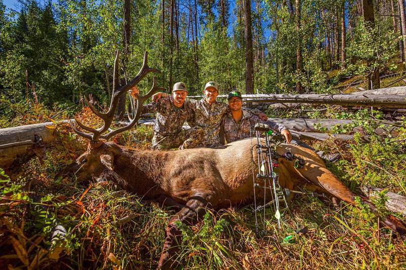 Bowhunter glassing public land during a DIY archery elk hunt