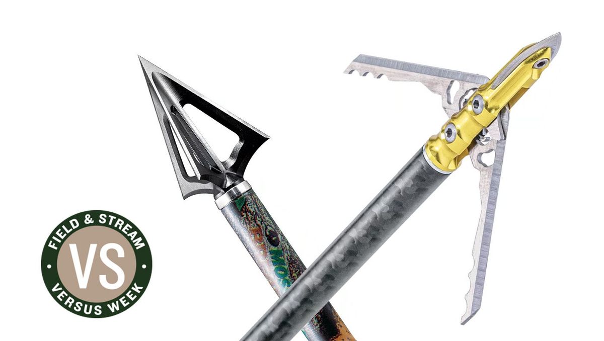 Mechanical vs fixed broadheads side-by-side comparison for bowhunting