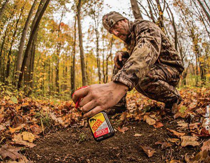 Fresh mock scrape with exposed dirt ready for deer activity