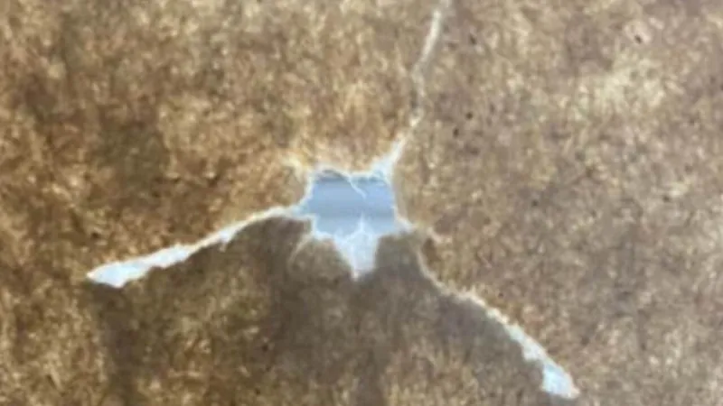 Perfect bullet hole paper tear showing clean compound bow arrow flight