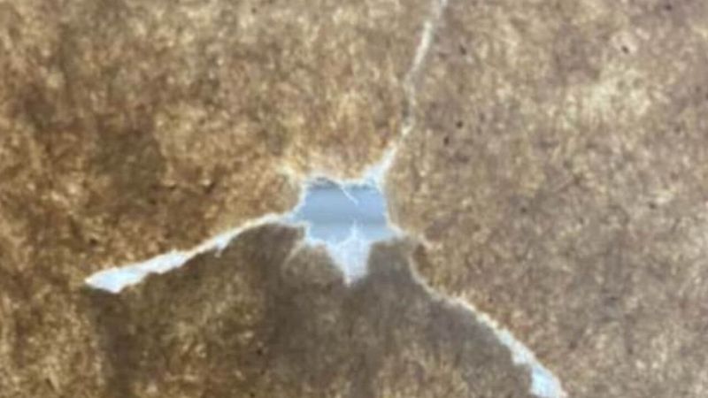 Perfect bullet hole paper tear from a tuned compound bow