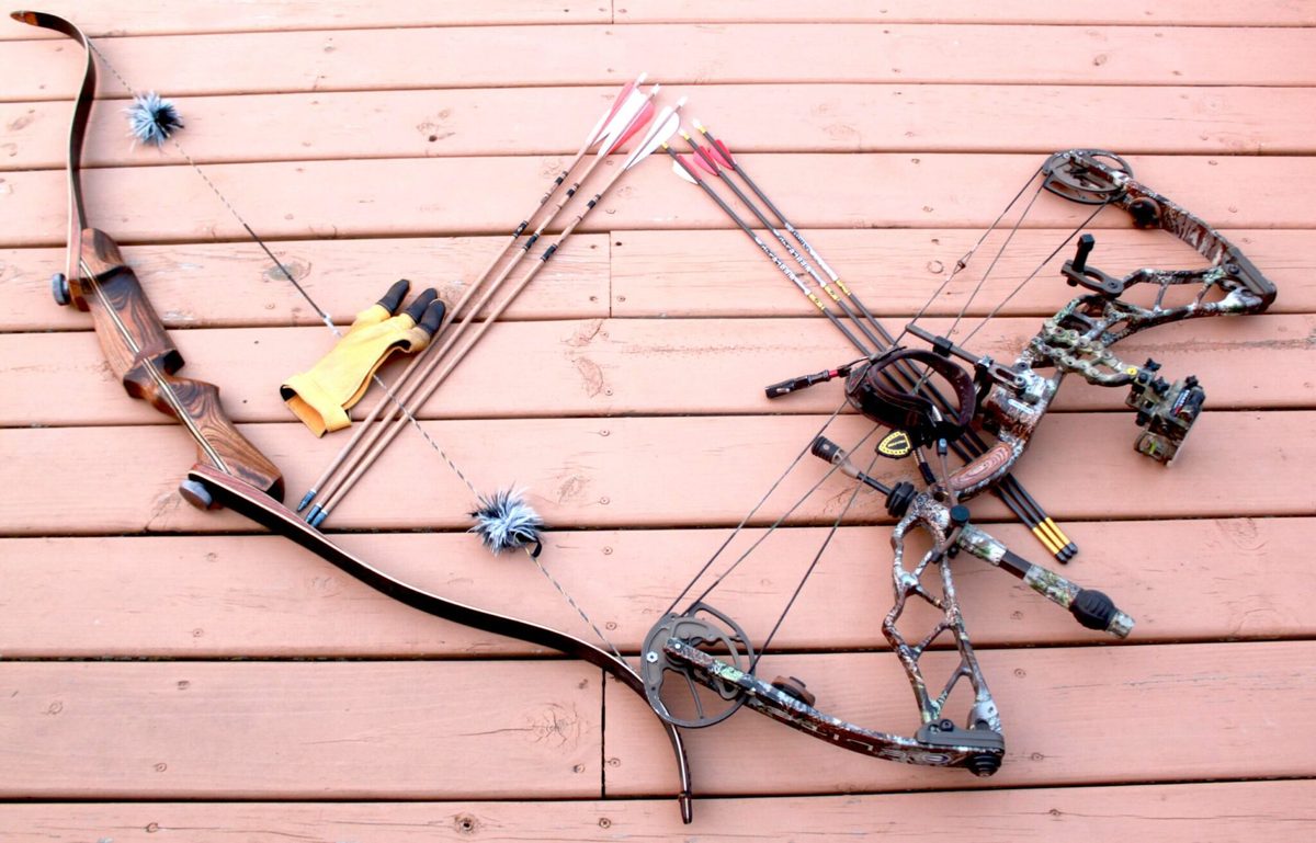 Recurve vs compound bow comparison with a traditional recurve and modern compound side by side