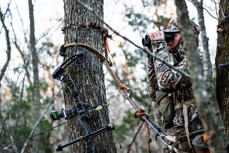 Bowhunter glassing for deer from tree saddle setup