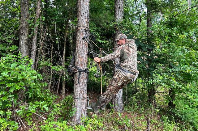 Bowhunter standing on saddle hunting platform at hunting height