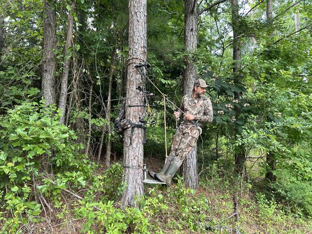 Hunter setting up saddle hunting rig at base of tree