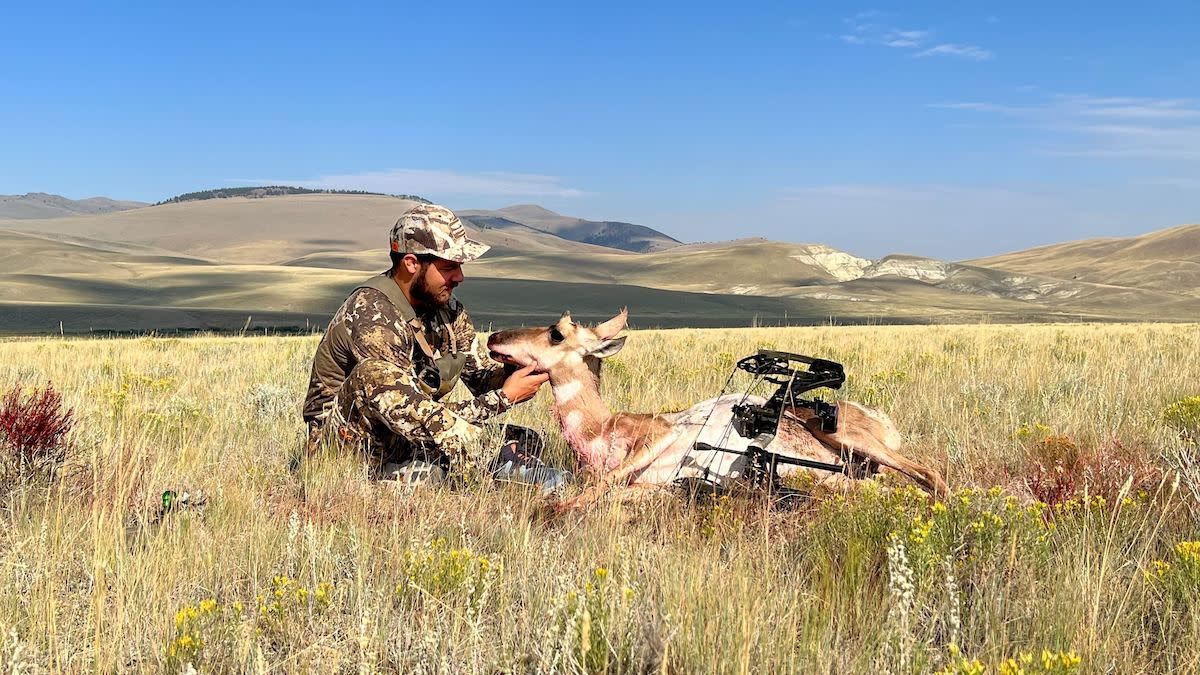 Spot and stalk bowhunting success with pronghorn antelope and compound bow