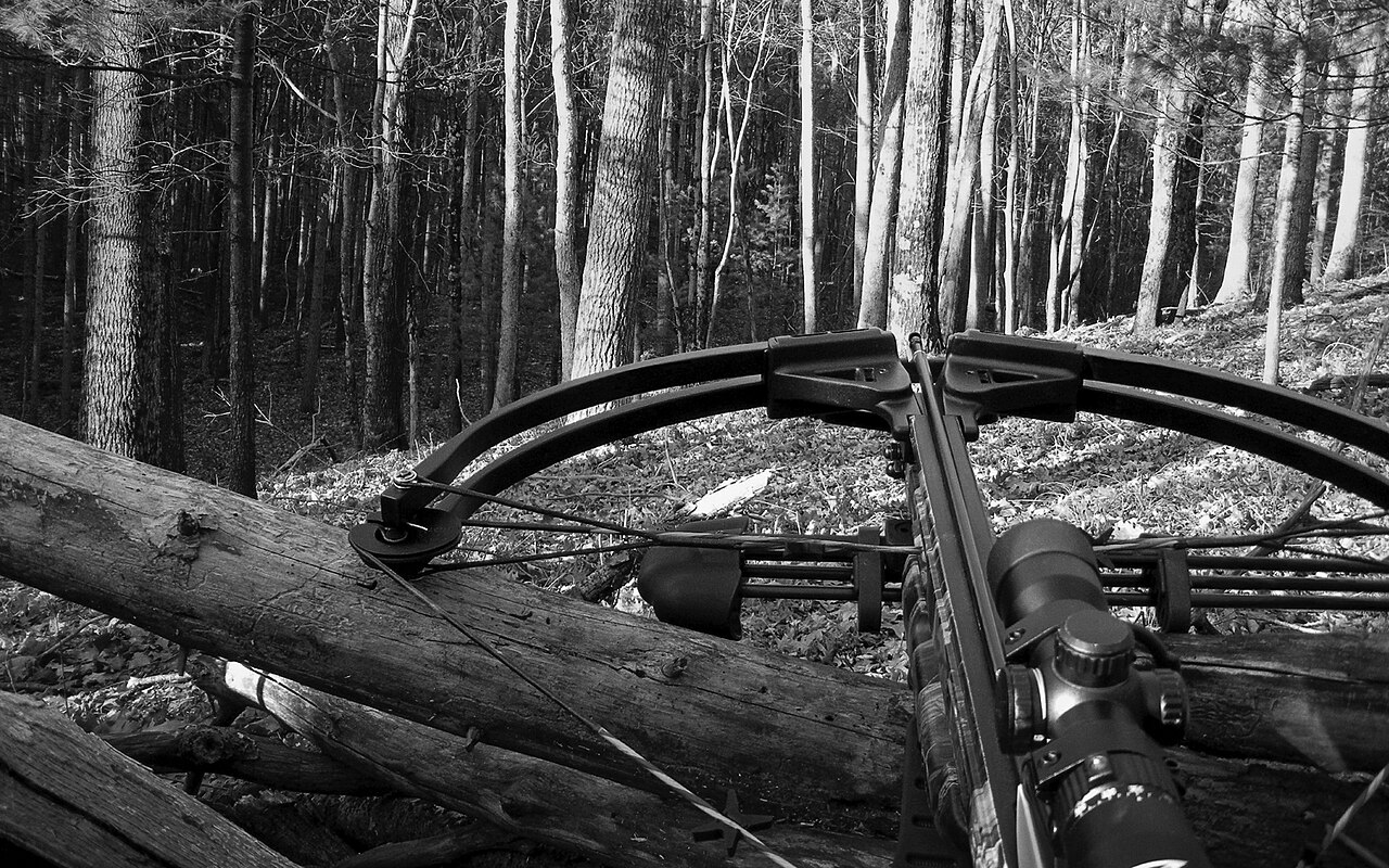 whitetail deer bowhunting
