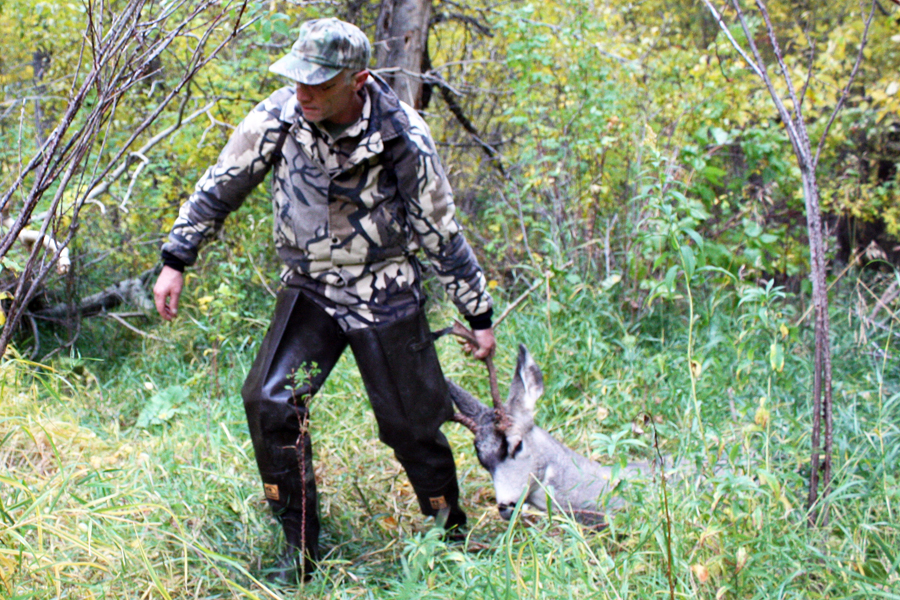 Hunting paperwork moves online