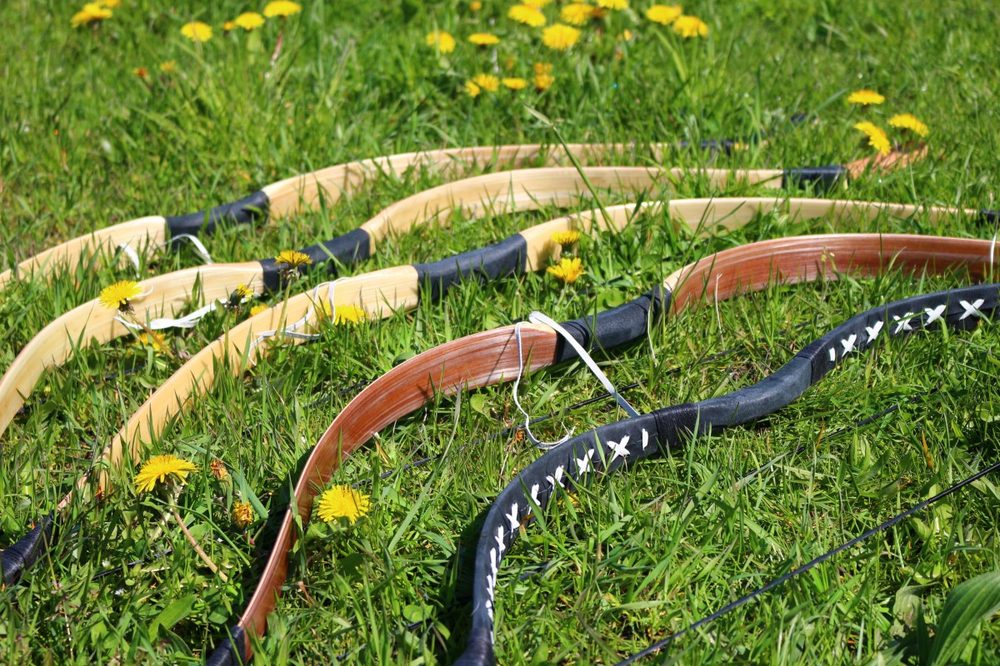 Traditional recurve bows used for instinctive archery