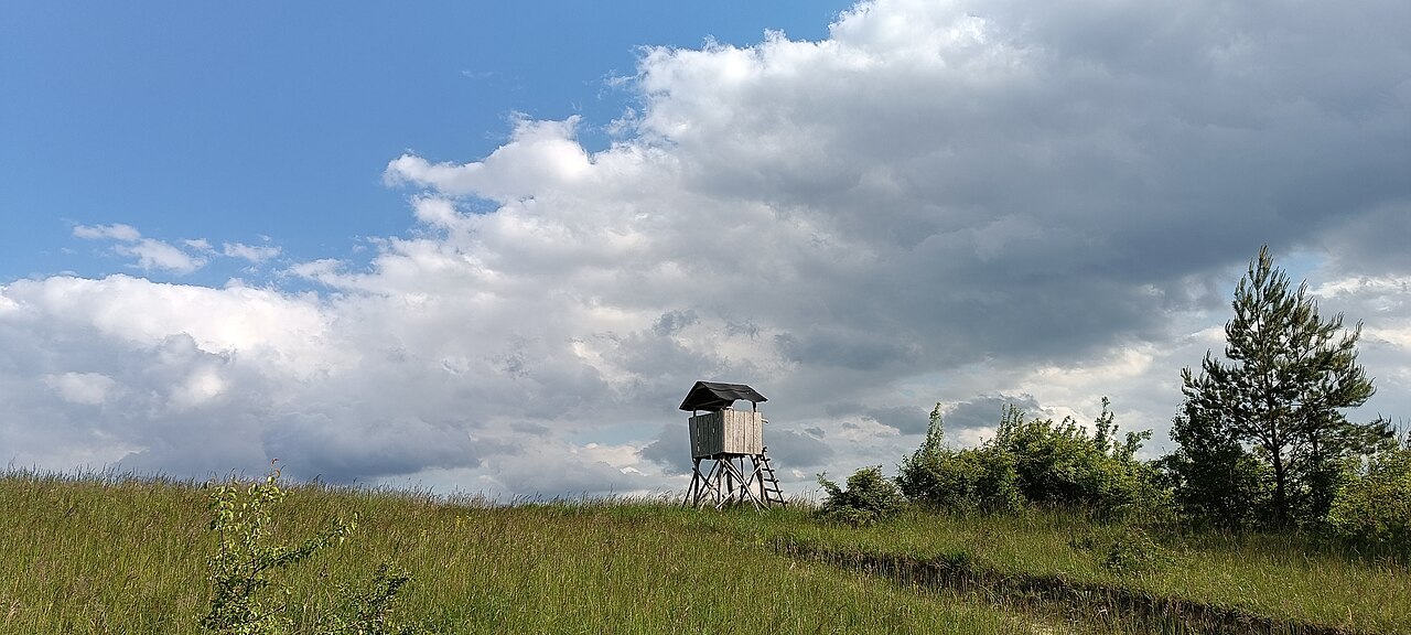 ground blind hunting