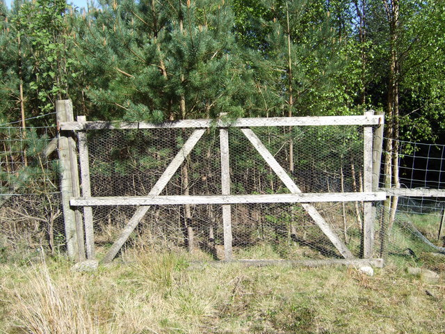 deer trail woods