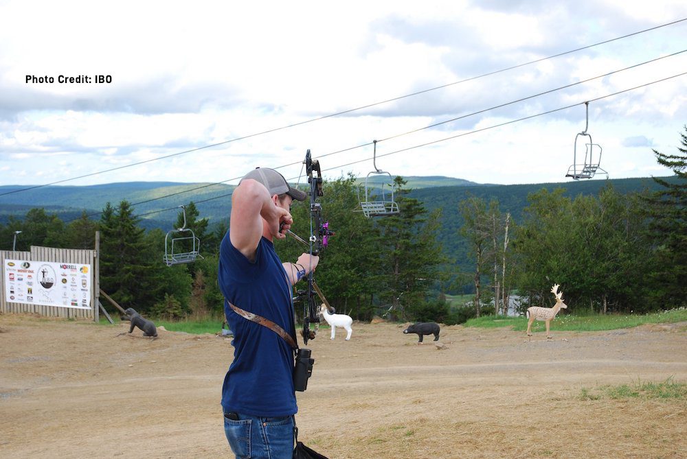 3D archery for beginners: archers shooting foam deer targets on a wooded course