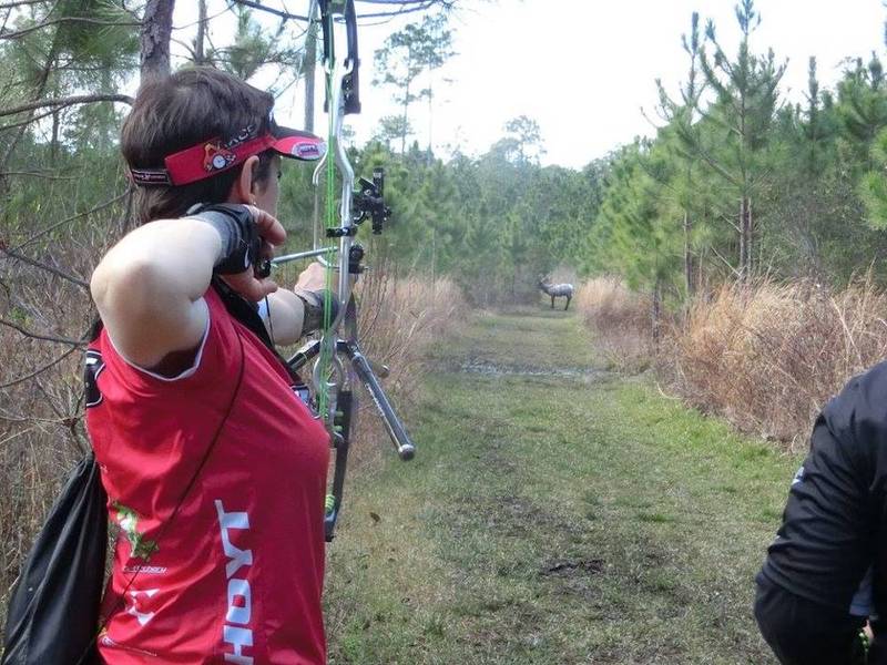 Archer judging distance to a 3D archery foam elk target down a wooded lane