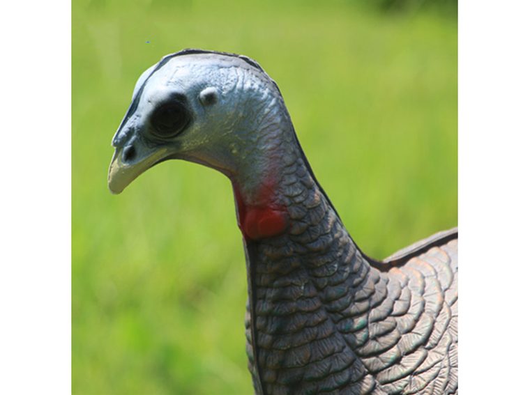 3D turkey archery target from Archery Supplier