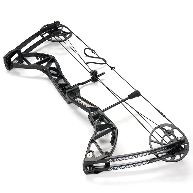 Archery Adults Compound Bow Right Hand CNC Riser Hunting Bow 20-70LBS